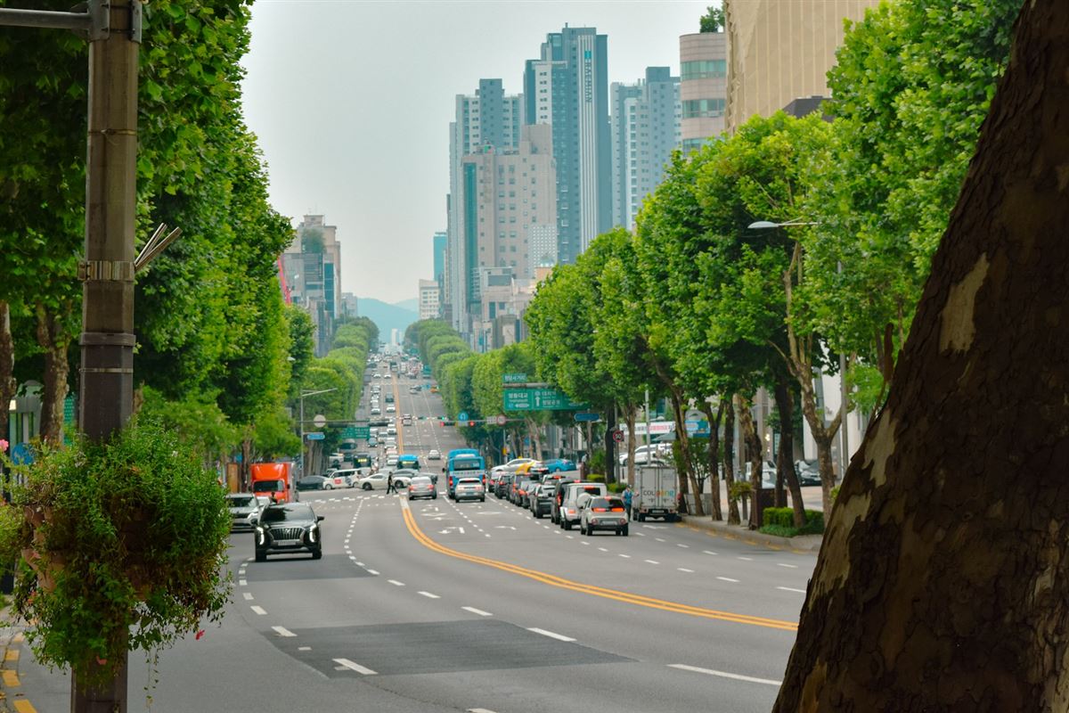 Tree-lined Cheongdam street, Gangnam