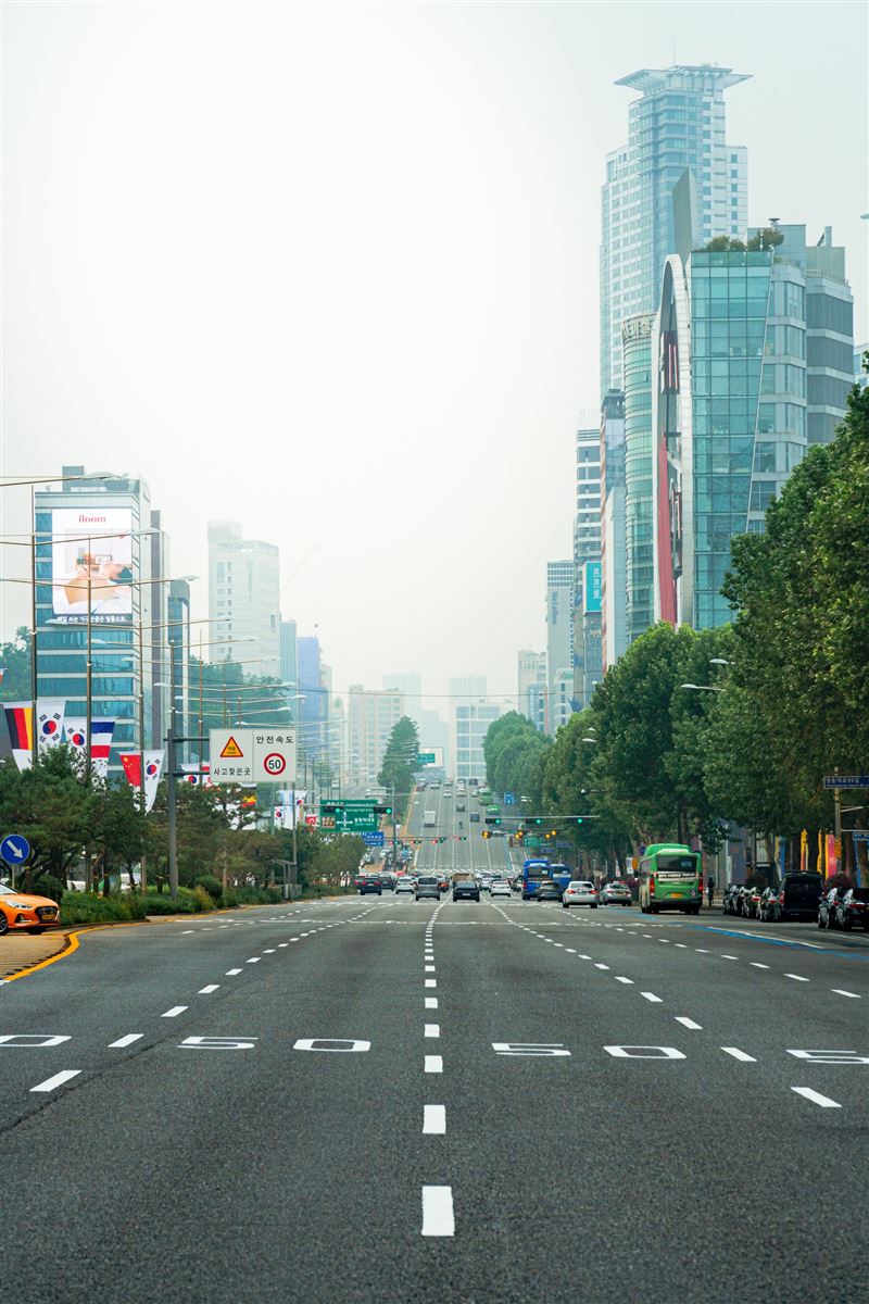 Gangnam-gu avenue